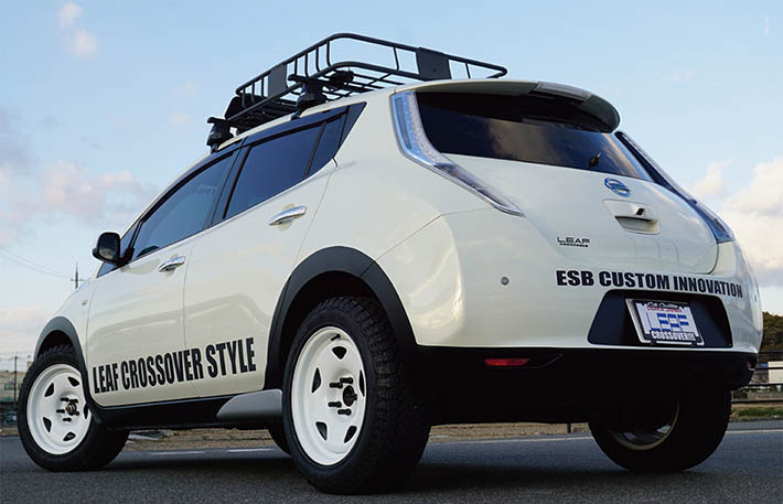 Nissan Leaf ESB