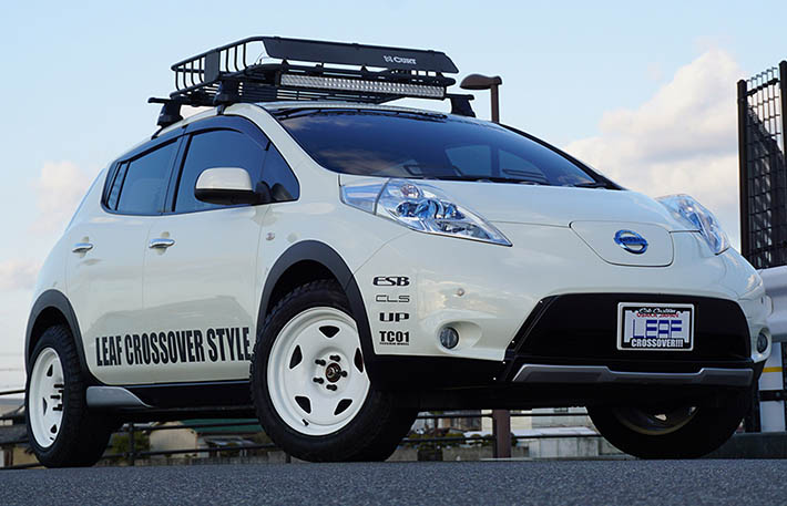 ������������� Nissan Leaf �������� ESB ���� �������������